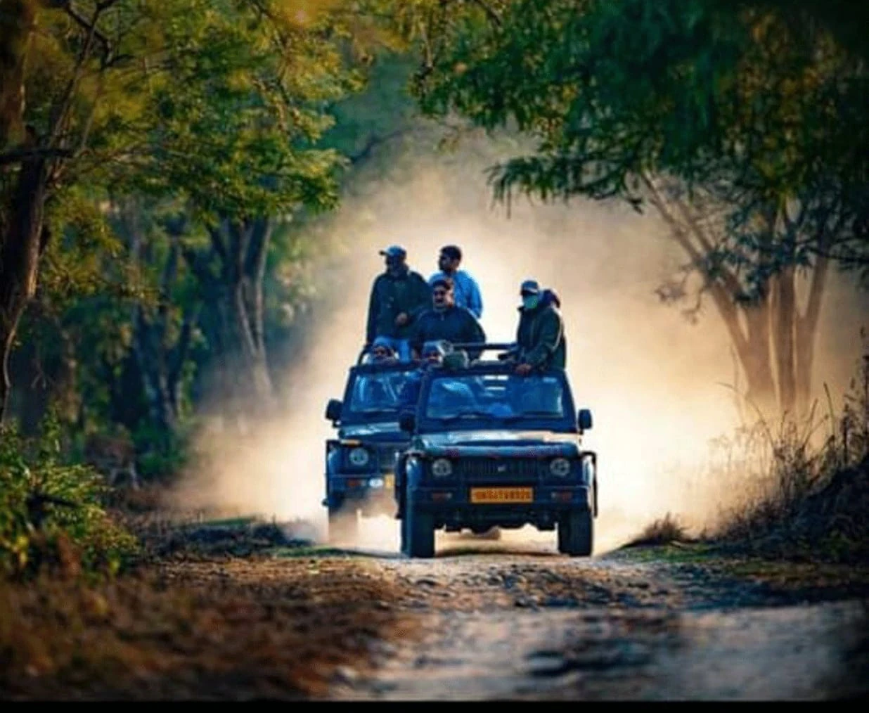 Open safari jeeps driving through a forest track in Jim Corbett